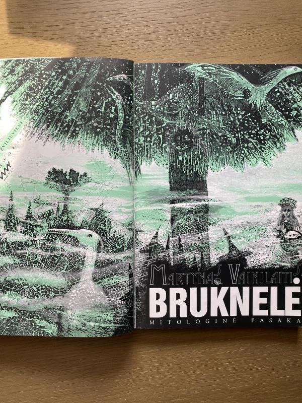 Bruknelė - Martynas Vainilaitis, knyga