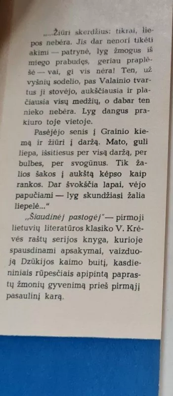 Šiaudinėj pastogėj - Vincas Krėvė, knyga 2