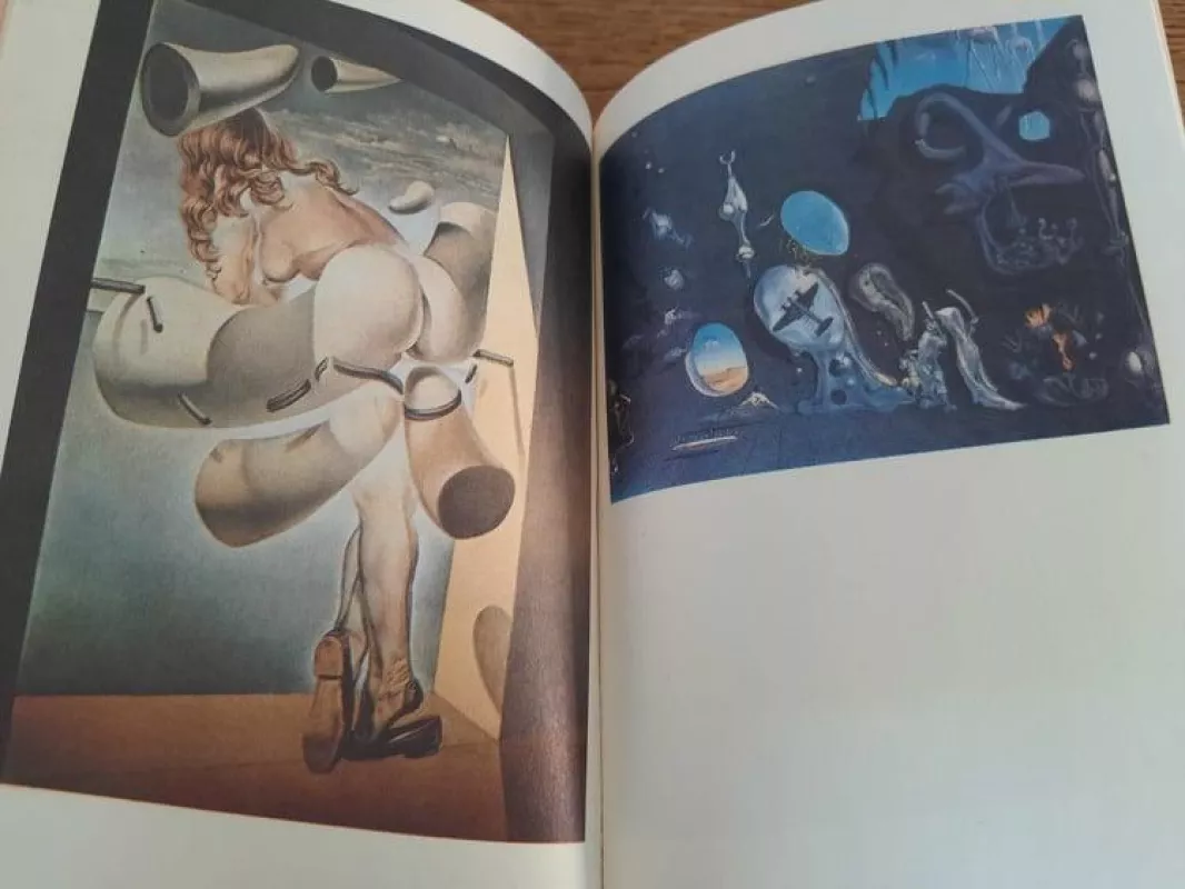 Vieno genijaus dienoraštis - Salvadoras Dali, knyga