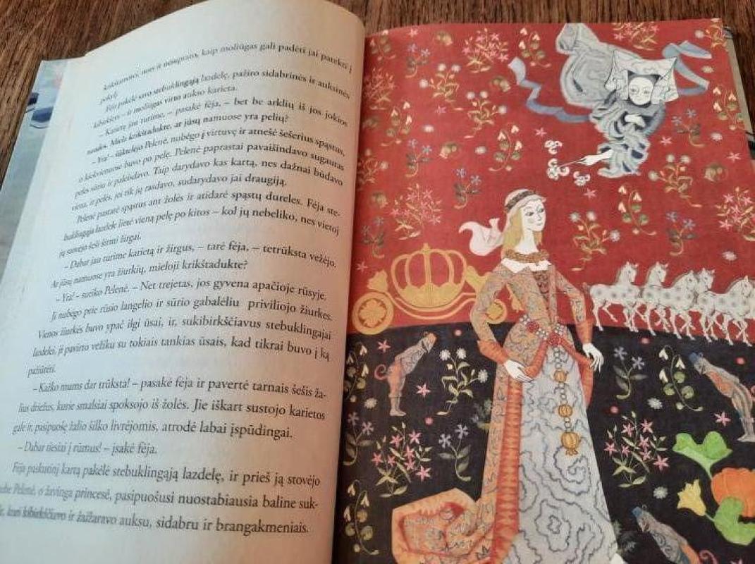 Mėnulio fėjos šypsena - Kathe Recheis, Frield  Hofbauer, knyga 5