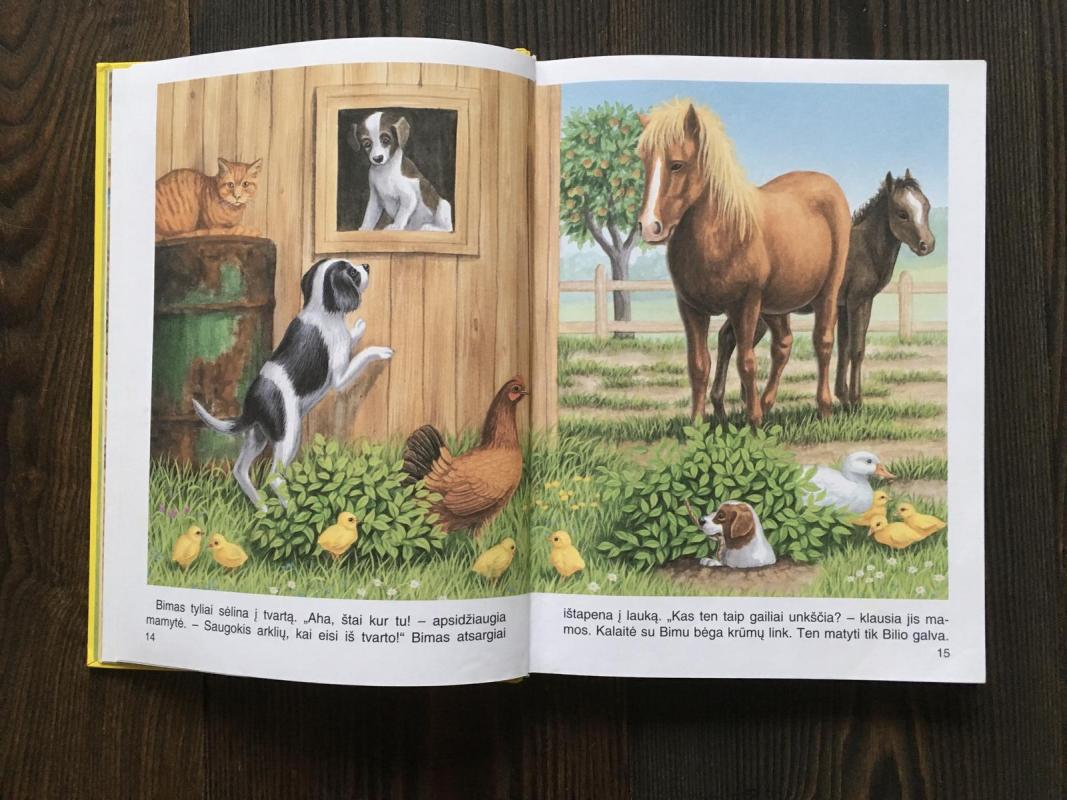 Didžioji sodžiaus knyga - Autorių Kolektyvas, knyga 3