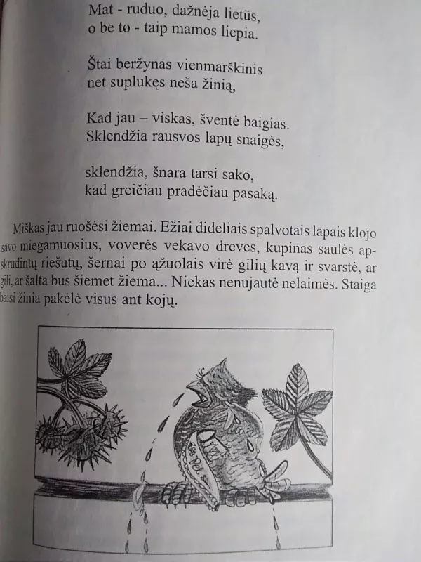 Kiškio ūsai - Petras Palilionis, knyga 4