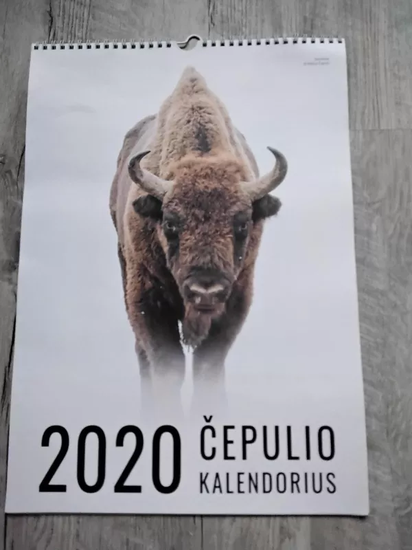 2020 Čepulio kalendorius - Marius Čepulis, knyga
