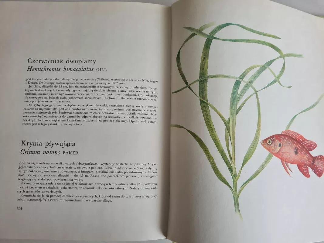 Ryby i rośliny akwariowe - Karel Rataj, knyga 2
