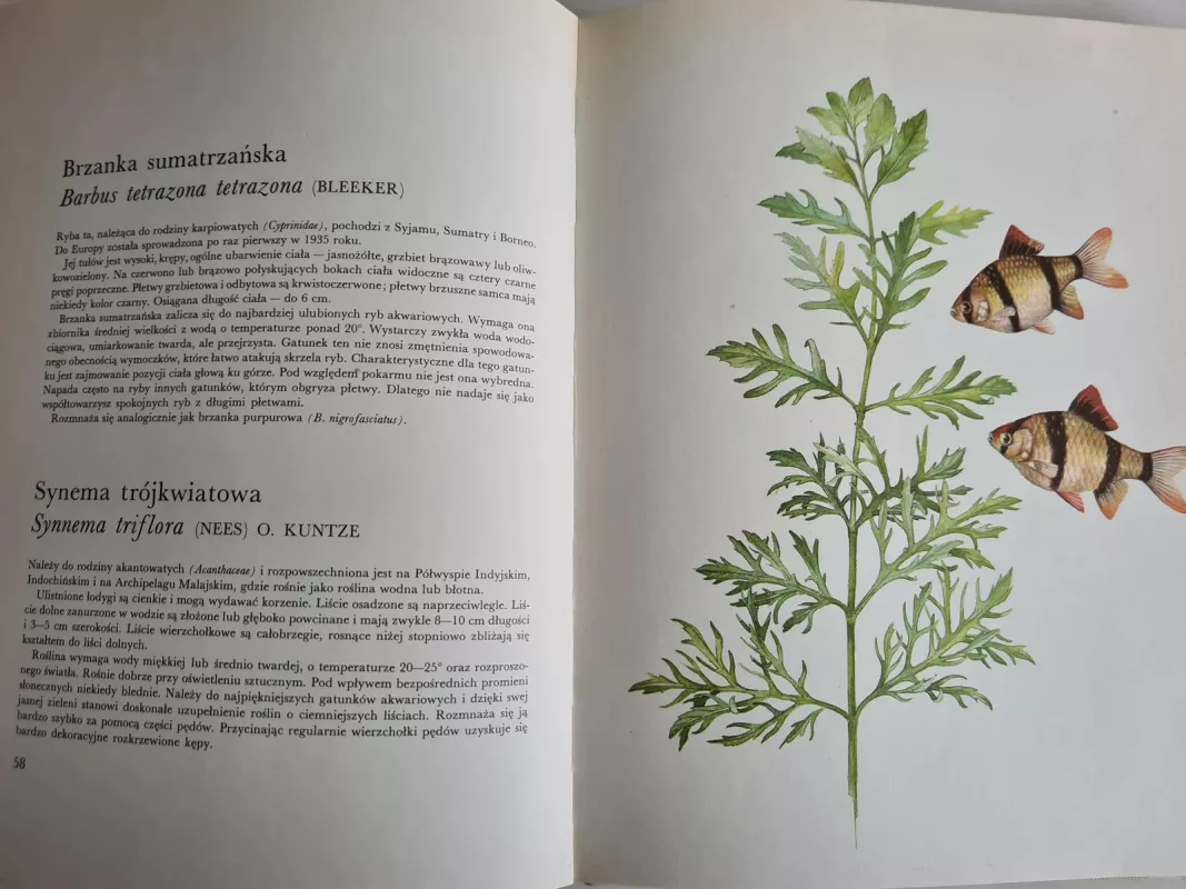 Ryby i rośliny akwariowe - Karel Rataj, knyga 3