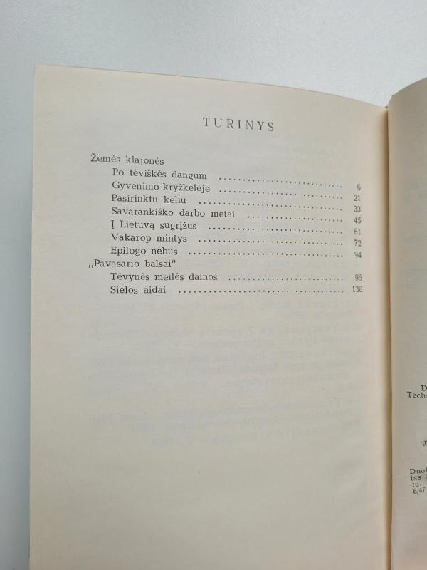 Maironis. Gyvenimas ir kūryba - Irena Slavinskaitė, knyga 3