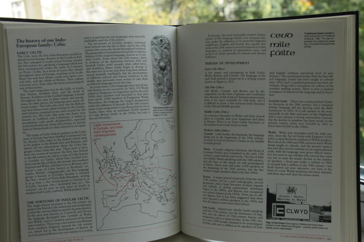 The Cambridge Encyclopedia of Language (hardcover) - David Crystal, knyga 4