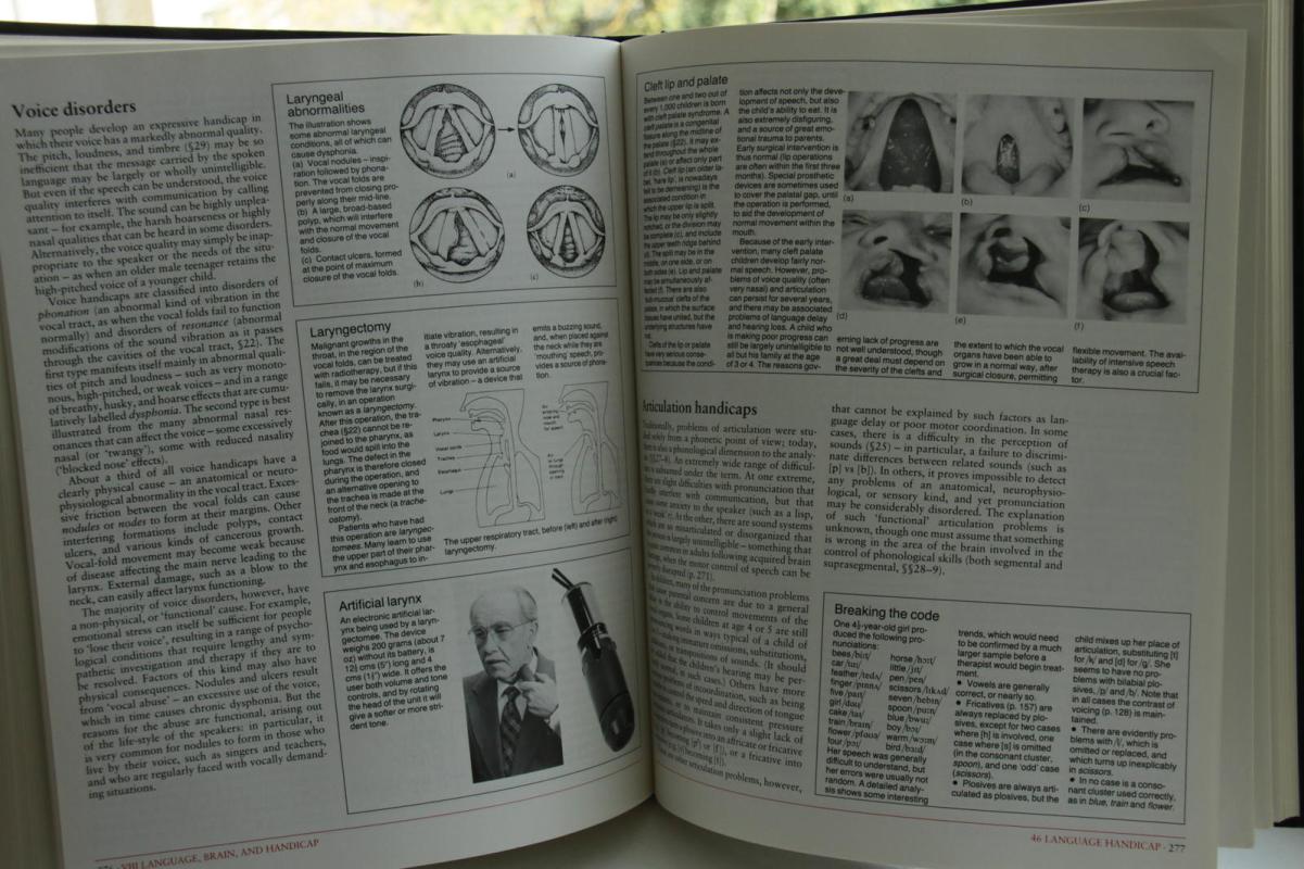 The Cambridge Encyclopedia of Language (hardcover) - David Crystal, knyga 3