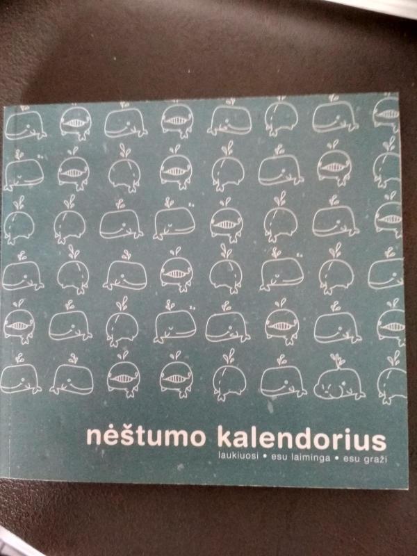 Nėštumo kalendorius - Autorių Kolektyvas, knyga