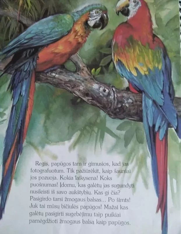 Ką aš sutikau džiunglėse - Lietuva Egmont, knyga 5