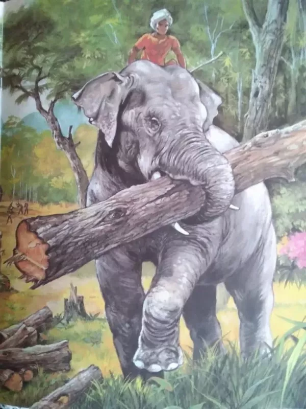 Ką aš sutikau džiunglėse - Lietuva Egmont, knyga 4