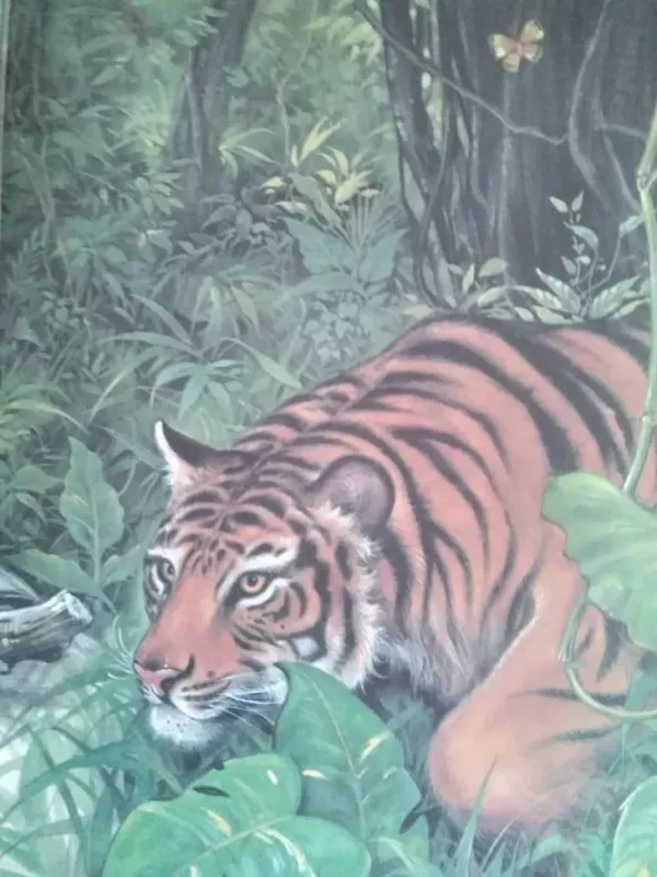 Ką aš sutikau džiunglėse - Lietuva Egmont, knyga 3