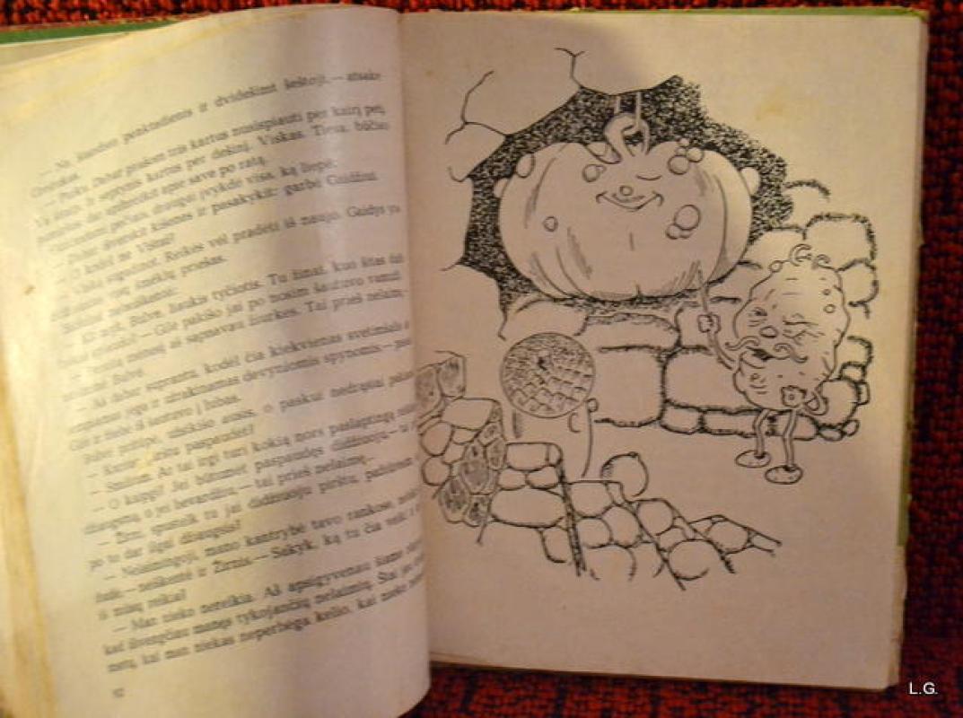 Gilės nuotykiai ydų šalyje - Vytautas Petkevičius, knyga