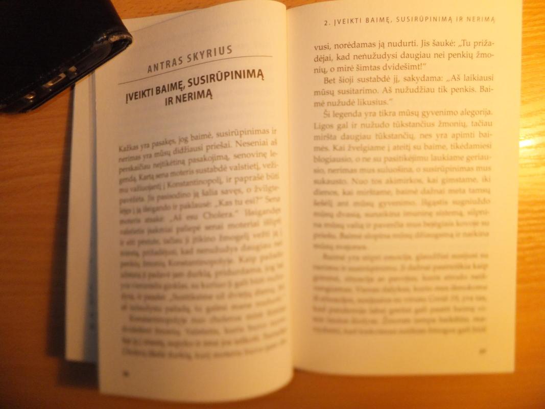 Viltis užklupus negandoms - Mark Finley, knyga 3