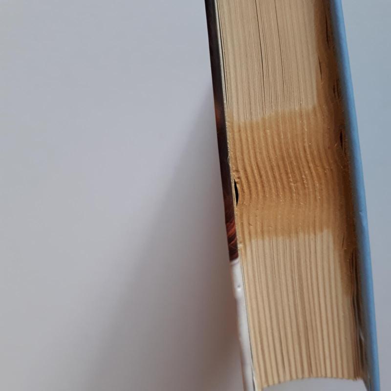 Tada aš išskleidžiau sparnus ir nuskridau - Joyce Carol Oates, knyga 3