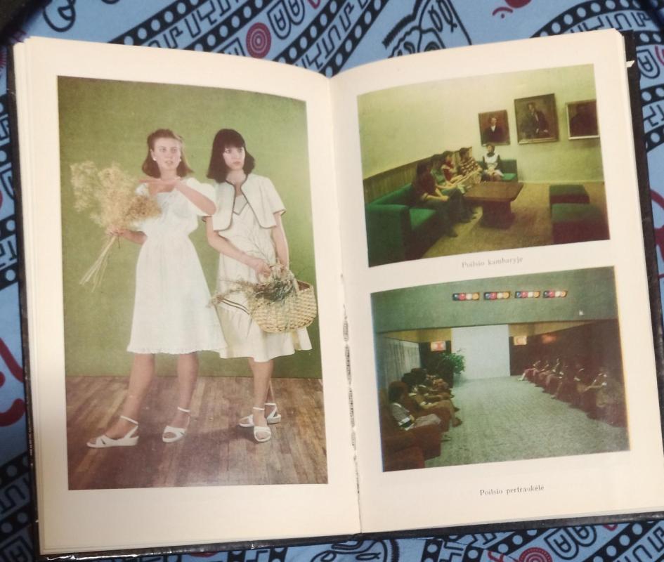 Kviečia lengvoji pramonė - B. Bartaškaitė, A. Vaišys, knyga 3