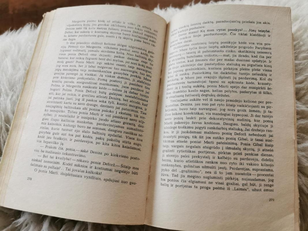 Moterų laimė - Emilis Zola, knyga 5