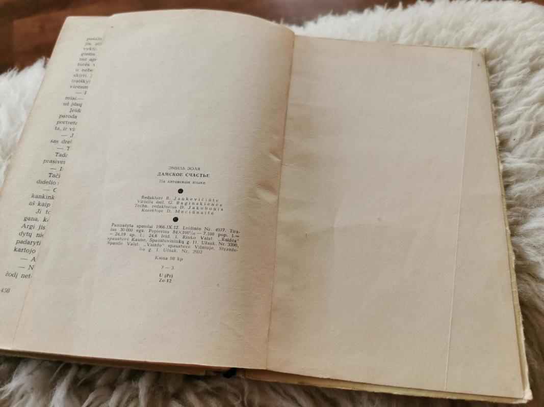 Moterų laimė - Emilis Zola, knyga 4