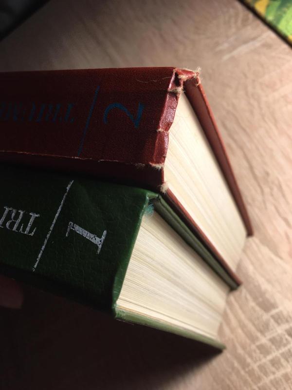 Triumfas ir tragedija, II knyga - D. Valkogonovas, knyga 4