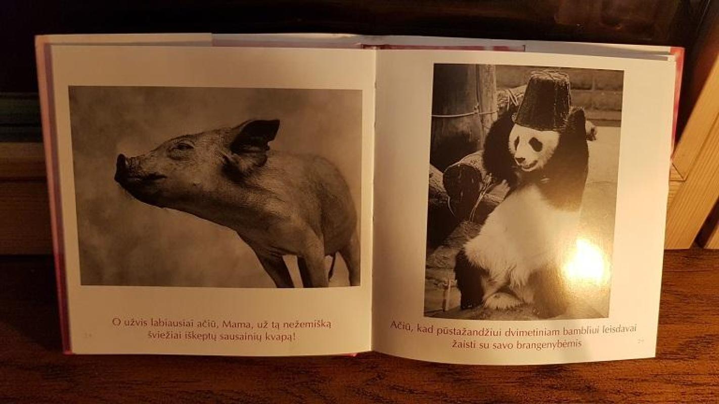 Tau, mano Mamyte... - Bradley Trevor Greive, knyga 3