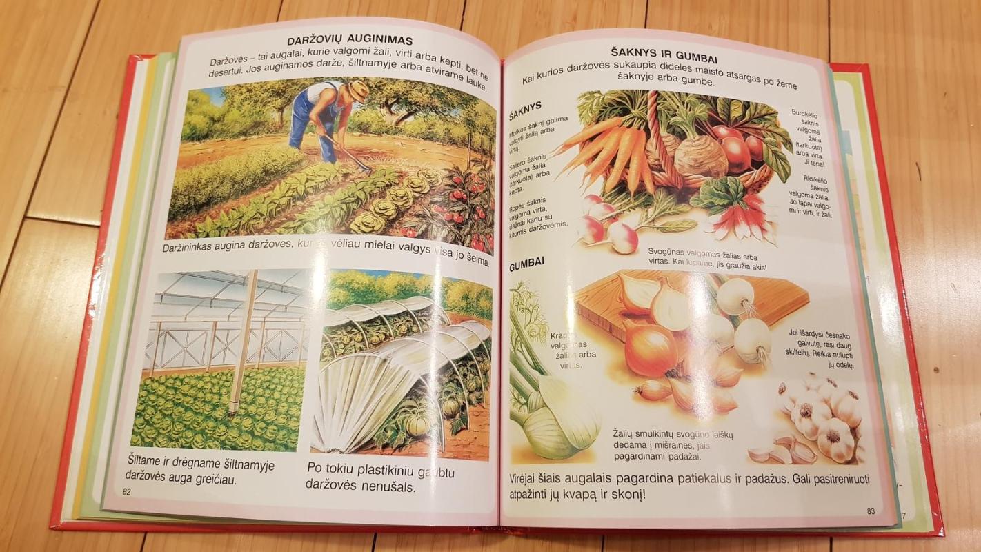 Darbai ūkyje - Autorių Kolektyvas, knyga 4