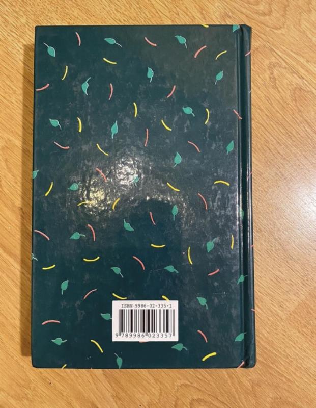 Mūsų visų Madikė - Astrid Lindgren, knyga 2