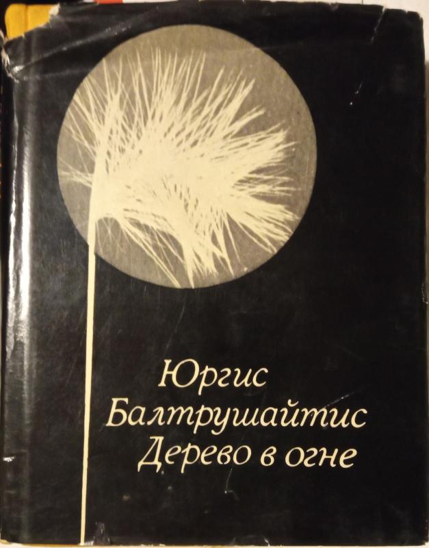 Дерево в огне - Юргис Балтрушайтис, knyga 3