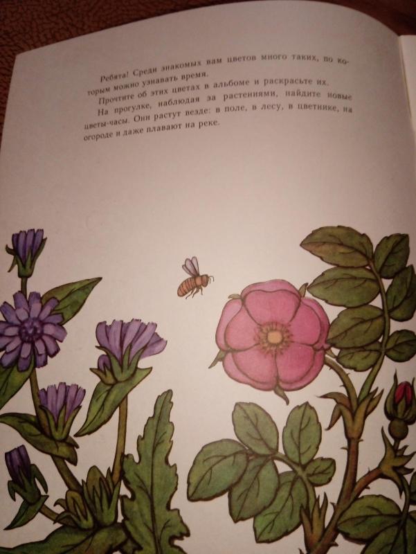 цветочные часы - Autorių Kolektyvas, knyga 3