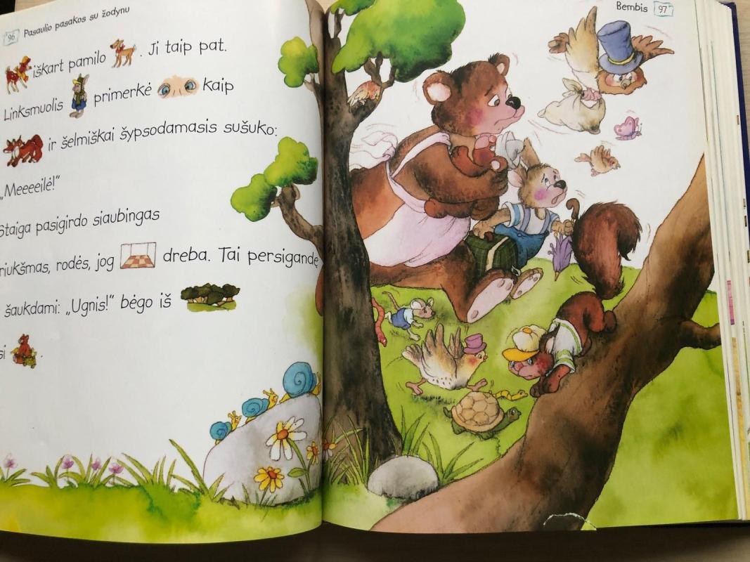 Pasaulio pasakos su žodynu - Rasa Mielkuvienė, knyga 3