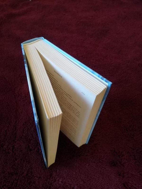 Paieška - Nora Roberts, knyga 4