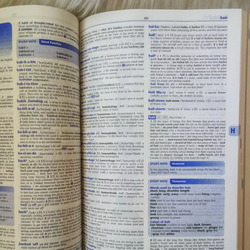 Longman Exams Dictionary - Autorių Kolektyvas, knyga 5