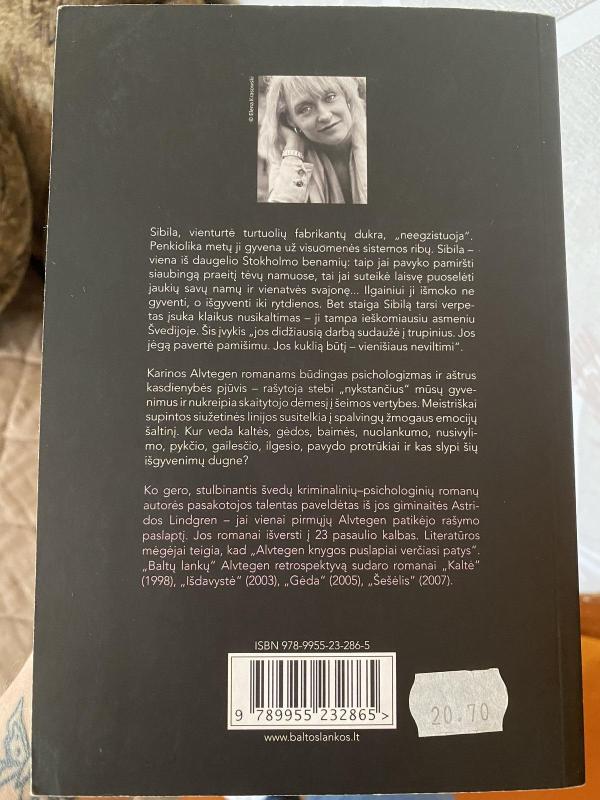 Dingusi - Karin Alvtegen, knyga