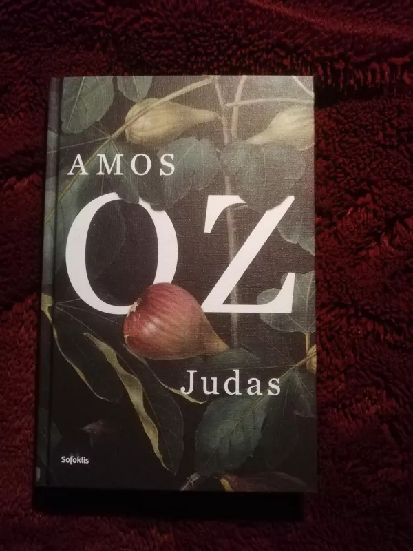 Judas - Amos Oz, knyga