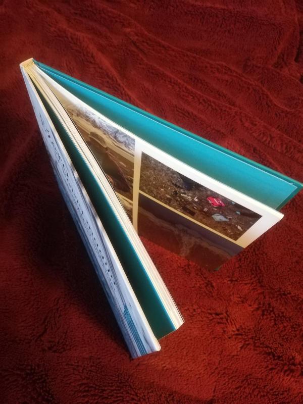 Ežero ir kalnų magija. Vidmanto Urbono plaukimas Himalajuose - Edmundas Ganusauskas, knyga 4