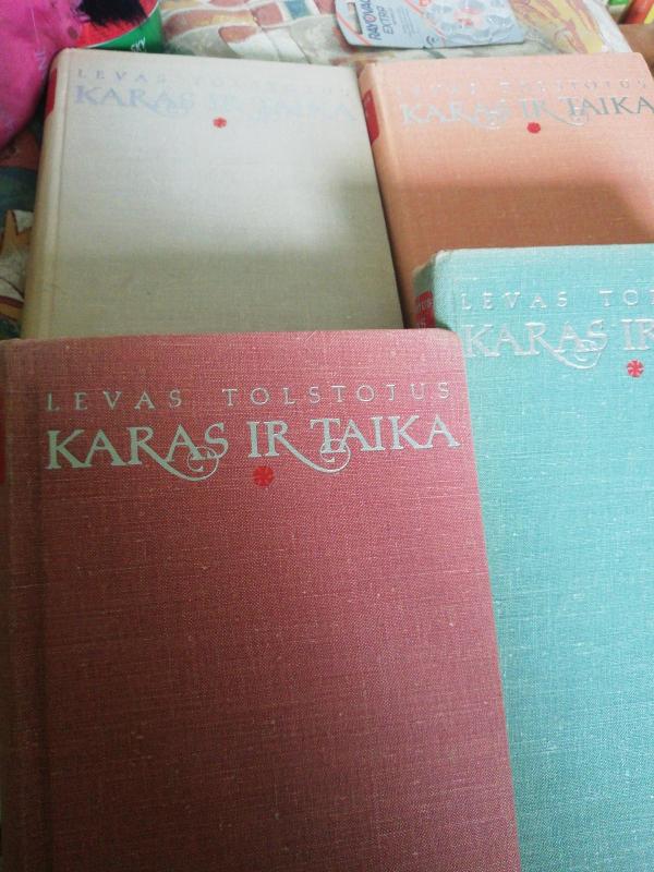 Karas ir taika - Levas Tolstojus, knyga 2