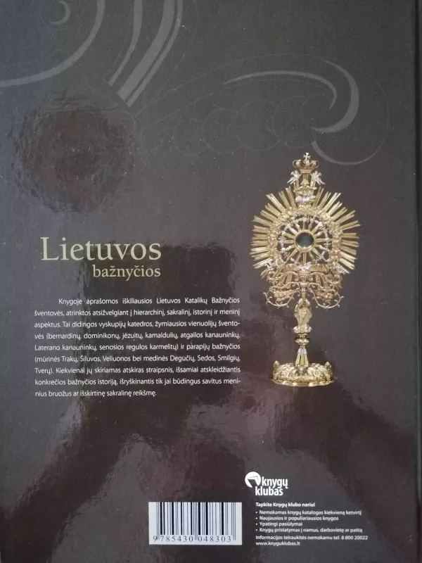 Lietuvos Bažnyčios - Rūta Janonienė, knyga