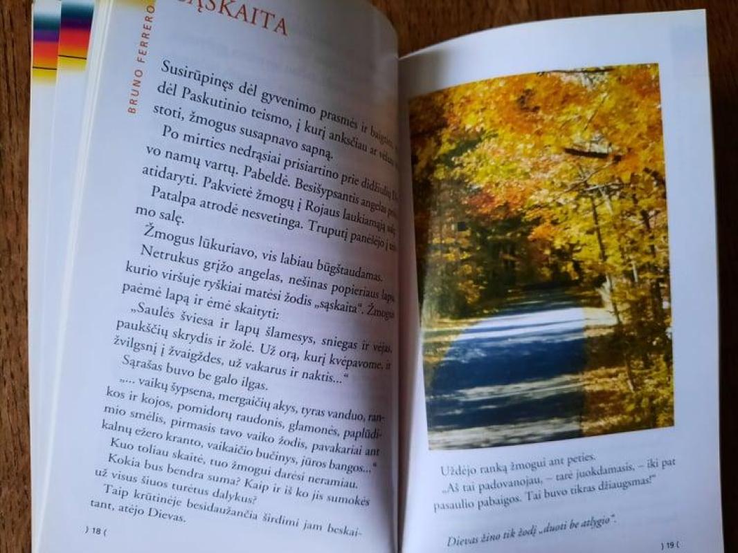 Kai pražysta gėlės - Bruno Ferrero, knyga 5