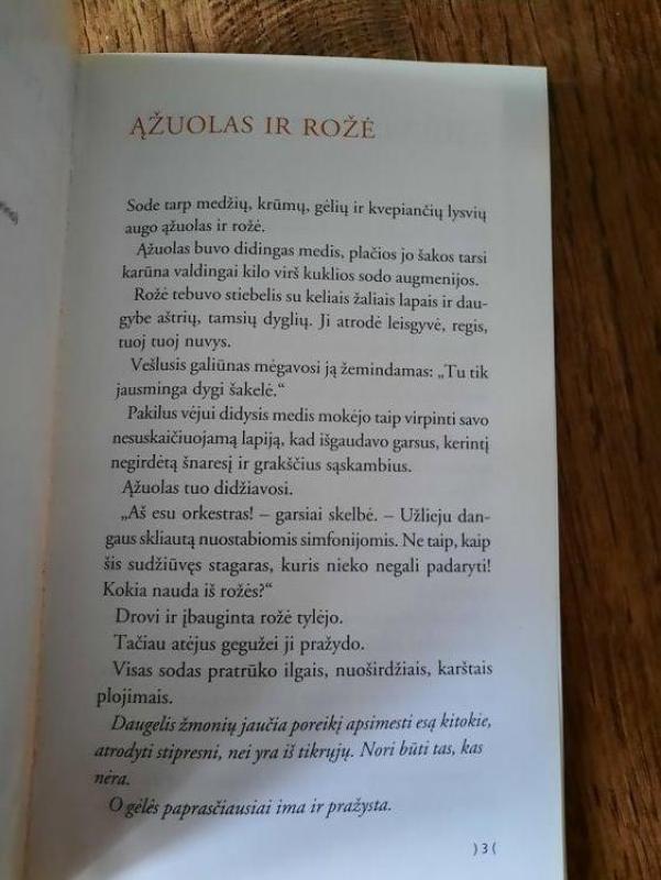 Kai pražysta gėlės - Bruno Ferrero, knyga 4