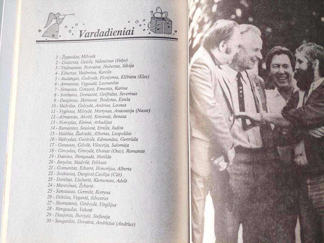 1995 Šeimos kalendorius - Dangirutė Giedraitienė, knyga 3