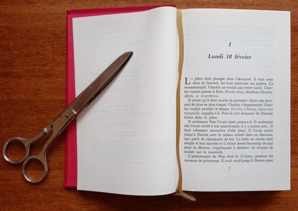 Recherche Jeune Femme Aimant Danser - Autorių Kolektyvas, knyga 3