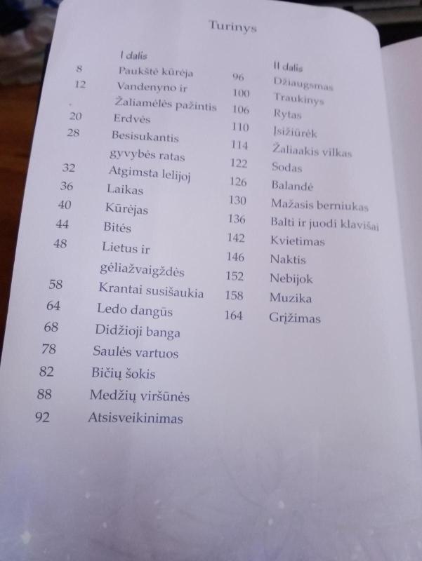 Vandenynas ir žaliamėlė - Rūta Vyšnia, knyga 3