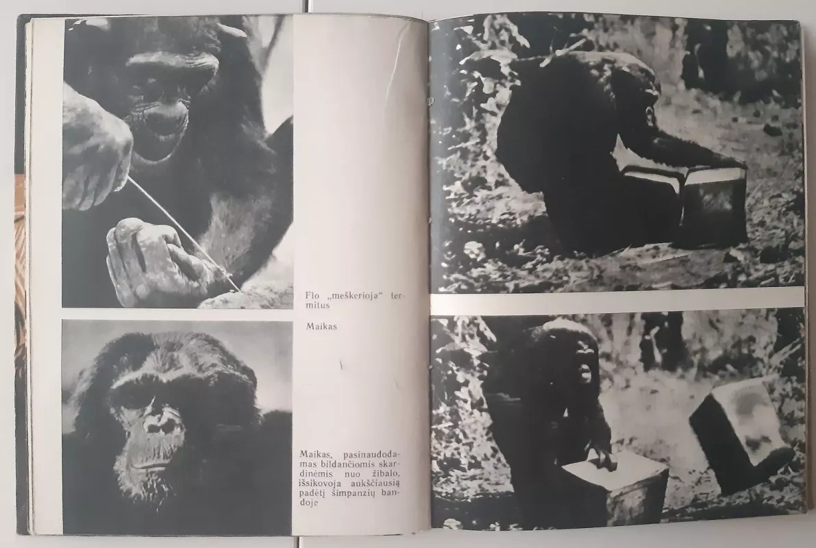 Žmogaus šešėlyje - Autorių Kolektyvas, knyga 4