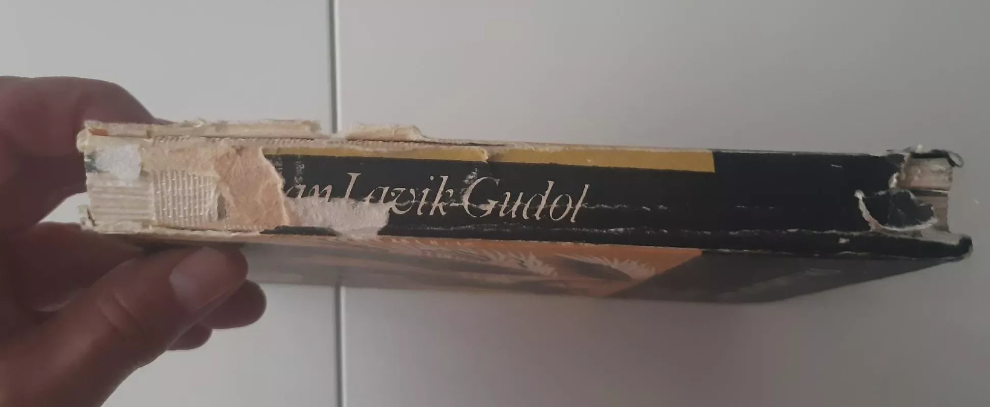 Žmogaus šešėlyje - Autorių Kolektyvas, knyga 5