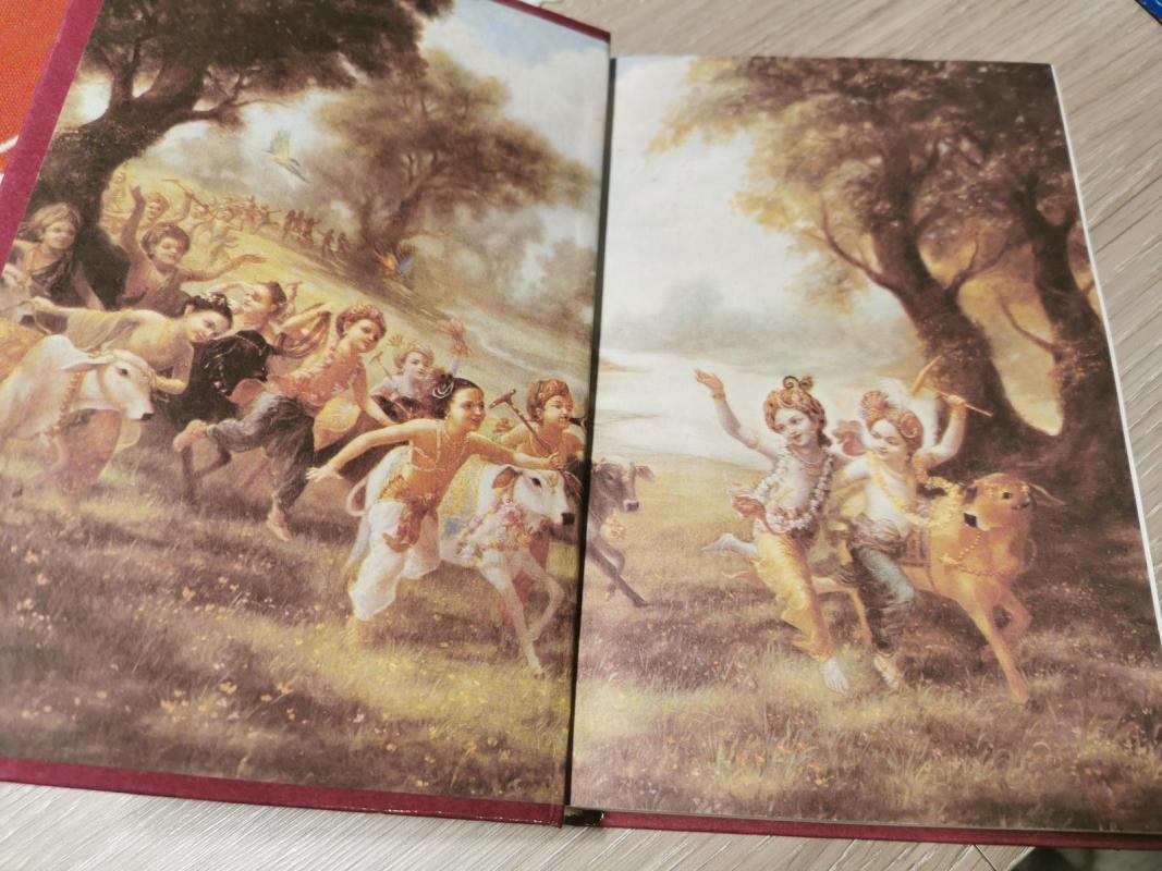 Krsna. Aukščiausiasis Dievo Asmuo (II tomas) - Autorių Kolektyvas, knyga 5