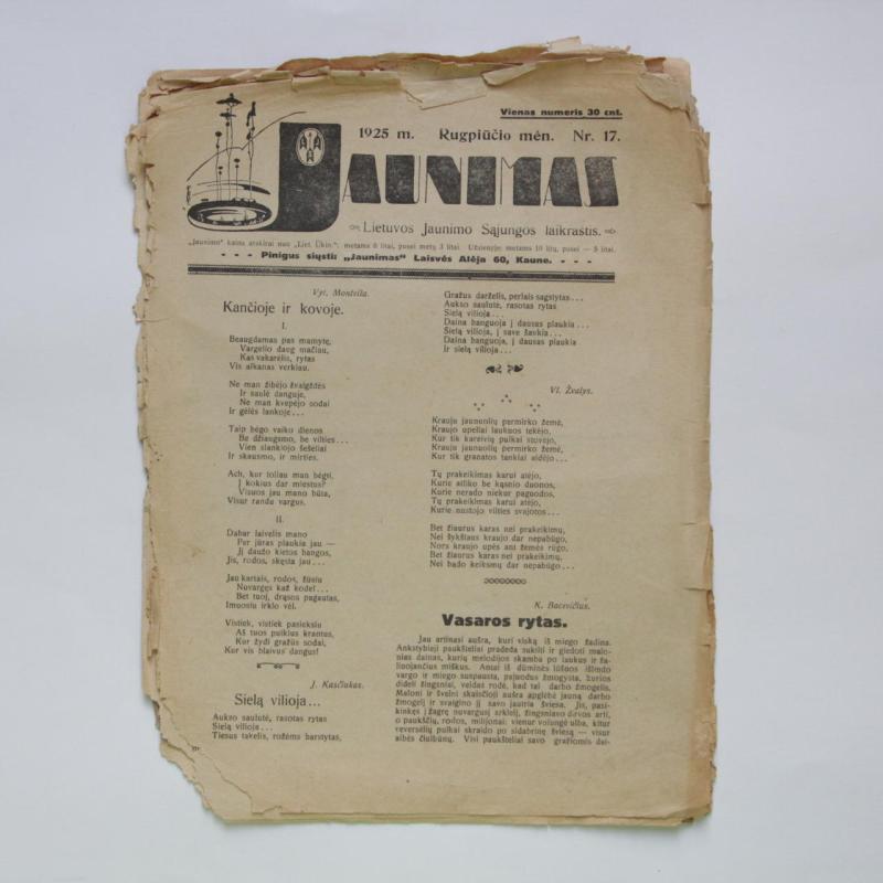 Jaunoji karta 1935, Nr. 22 - Autorių Kolektyvas, knyga 2