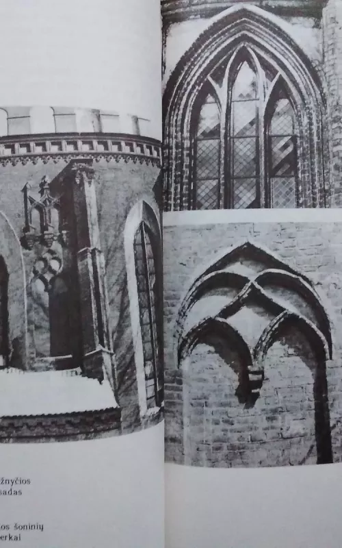 Vilniaus Šv.Onos bažnyčia. Vilniaus katedros rekonstrukcija 1782-1801 metais - Vladas Drėma, knyga