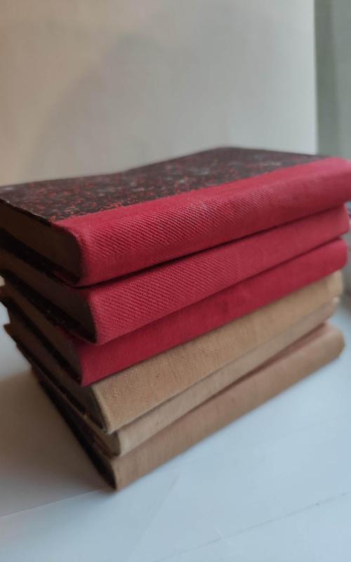 Dovydas Copperfieldas  6 tomai - Charles Dickens, knyga 2