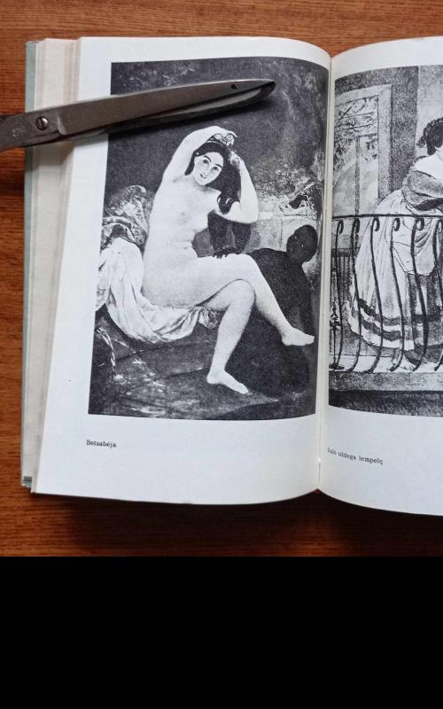 Briulovas - Vladimiras Porudominskis, knyga 4