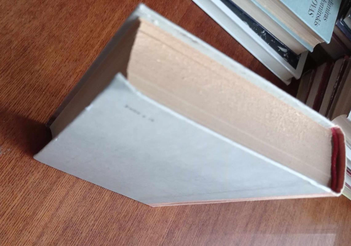 Ogiustas Rodenas - Deividas Veisas, knyga