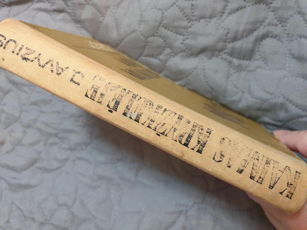 Kaimas kryžkelėje - Jonas Avyžius, knyga 4